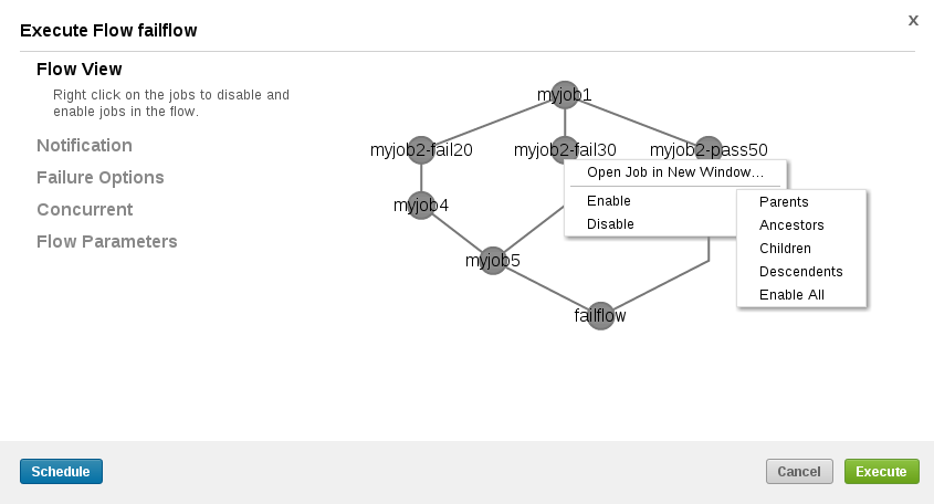 Executing Flow View